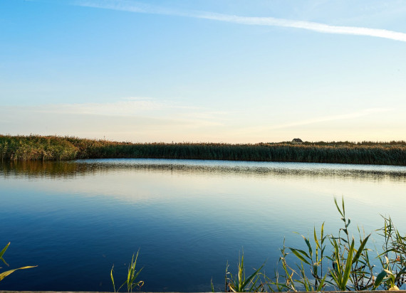 Hvalsø